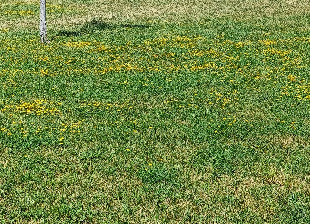 Mis vivencias del&nbsp;Sínodo