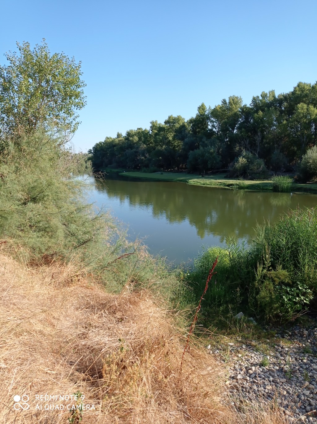 En tiempo de melones, pocos sermones